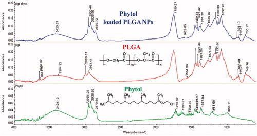 Figure 2. FT-IR spectra of phytol, PLGA NPs alone and phytol-PLGA NPs.