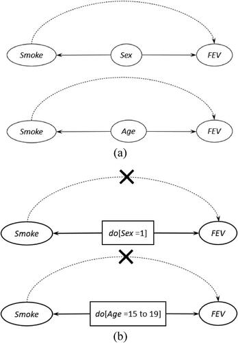 Fig. 14 The spurious relationship between Smoke and FEV in Example 5.