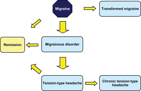 Figure 1 Potential long-term course of migraine headaches.