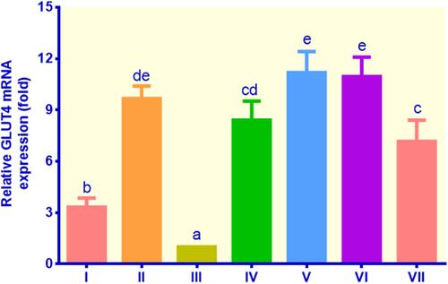 Figure 3 The expression of GLUT4 in lipid-laden 3T3-L1 cells treated with different treatments: (I) control insulin, (II) control metformin, (III) control non-insulin, (IV) EECM 200 μg/mL, (V) EECM 50 μg/mL, (VI) curcumol 200 μg/mL, and (VII) curcumol 50 μg/mL. Data are presented as mean ± SD. Different symbols (a, b, cd, de, and e) display a significant difference (p < 0.05) among treatments. ANOVA and DMRT were used for data interpretation (n= 3).