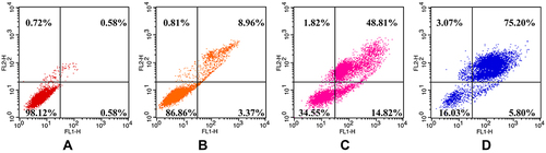 Figure 4 Apoptosis rates of HepG2 cells induced by SMC.