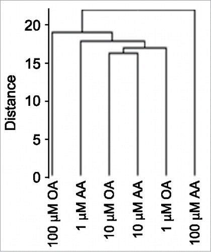 Figure 2. Unsupervised clustering analysis of high-density DNA methylation array (450K array)-based analysis of FA dose-dependent CpG methylation.