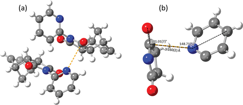 Figure 7. (a) Asymmetric unit of 2-pyridyl imide 1 highlighting the n→π* interaction (orange) and (b) annotated n→π* interaction of 2-pyridyl imide 1.