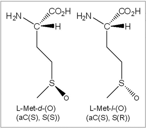 Figure 2 Diastereomeric structure of methionine sulfoxide, Met-S-(O) and Met-R-(O).