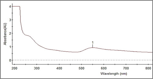 Figure 1. UV–visible spectroscopy absorbance spectrum of gold nanoparticles incubated at 60 °C for 20 min.