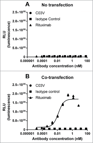 Figure 8. (A) Non-transfected EXPI293F cells did not show any induction of ADCC when treated with C03V or rituximab; (B) CO3V did not induce ADCC on cells co-transfected with TL1A and CD20 at any tested concentration but rituximab did induce ADCC activity on co-transfected EXPI239F cells. These results are representative of 3 independent experiments.
