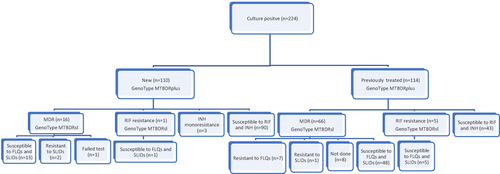 Figure 1 Study population and study flow diagram.