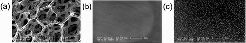 Figure 13. SEM images of (a) foam metal Ni, (b) specific scale foam metal Ni, and (c) Pt/Ni foam metal catalyst.