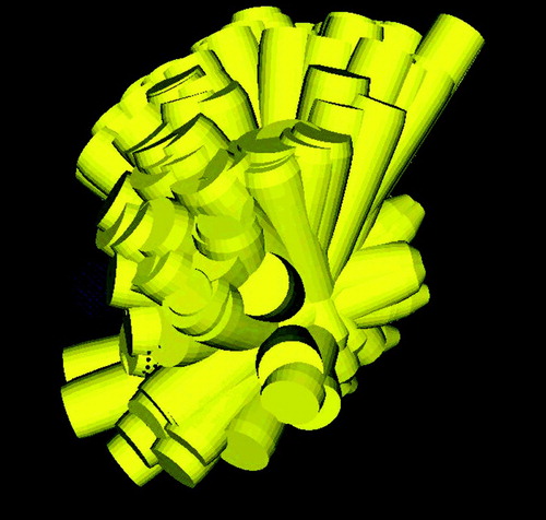 Figure 9. 3D arrangement of non-isocentric treatment beams computed by inverse planning for robotic radiosurgery.