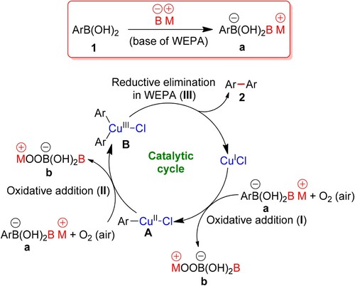 Scheme 2. Proposed mechanism of CuCl-catalyzed self-coupling of (H)ABAs in WEPA.