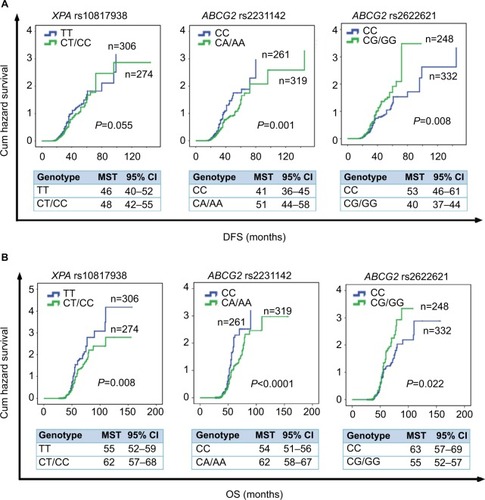 Figure 2 Kaplan–Meier survival curves estimate the correlation of DFS and OS in advanced CRC patients with oxaliplatin-based chemotherapy and XPA gene and ABCG2 gene.Notes: (A) Kaplan–Meier cum hazard survival curves illuminating the correlation between the XPA rs10817938 and ABCG2 rs2231142 and rs2622621 polymorphisms and DFS in advanced CRC patients treated with oxaliplatin-based chemotherapy (log-rank test: P=0.055, 0.001, and 0.008, respectively). (B) Kaplan–Meier cum hazard survival curves illuminating the correlation between the XPA rs10817938 and ABCG2 rs2231142 and rs2622621 polymorphisms and OS in advanced CRC patients treated with oxaliplatin-based chemotherapy (log-rank test: P=0.008, <0.0001, and 0.022, respectively).Abbreviations: CRC, colorectal cancer; DFS, disease-free survival; OS, overall survival; MST, median survival time.