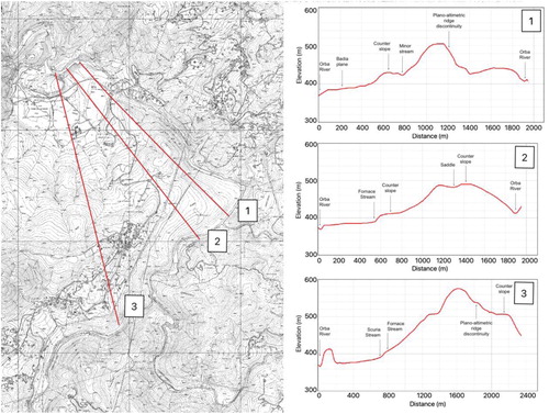 Figure 7. Morphological cross section along the ‘Bianchina-Badia’ mountain slope deformation. Profiles emphasize the step-like profile of the slope and typical morphological evidence of slope deformations, such as trenches, double ridges, closed depressions and counter scarps. The vertical scale is 3-times exaggerated.