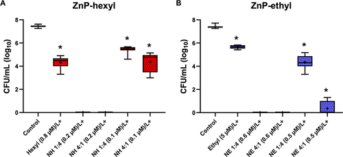 Figure 6 Box plots of photoinactivation of C. albicans yeasts. The photoefficiency was evaluated with individual ZnPs (A) ZnP-hexyl at 0.8 µM and (B) ZnP-ethyl at 5.0 µM or in association with AgNPs (1:4 and 4:1 v/v ratio) at different PS concentrations. ZnP concentrations are given in parenthesis. The pre-irradiation incubation time was 10 min and the light dose was 4.3 J/cm2. Hexyl: ZnP-hexyl; Ethyl: ZnP-ethyl; NH: AgNPs-ZnP-hexyl; NE: AgNPs-ZnP-ethyl. L+: with irradiation. At least three independent experiments were performed in triplicate; *p < 0.05 in relation to the control.