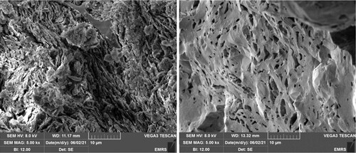 Figure 7. SEM images of (Left) stoneware ceramic fired at 1000°C (Right) stoneware ceramic fired at 1200°C.