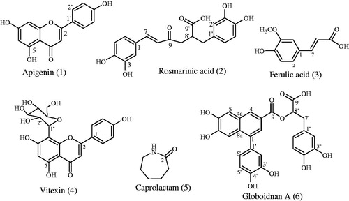 Figure 1. Isolated compounds from O. rotundifolium.