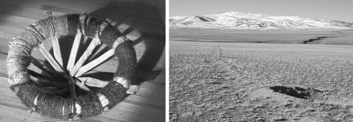Figure 4 Tibetan antelope leg-hold trap or “khogtse” (left, 18 cm diameter), and one side of a diversionary trap barrier system with a hunter hiding depression located near the narrow neck area of the diversion (right). Khogtse traps are placed within the neck area of the barrier structure.