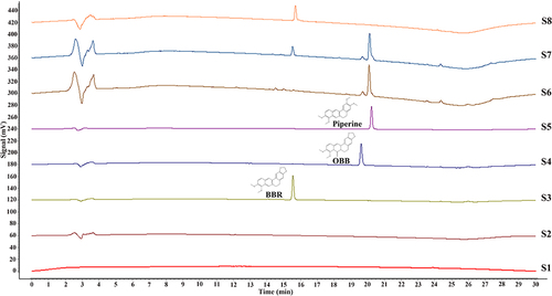 Figure 3 HPLC chromatograms of blood samples with BBR and OBB. (S1) Blank whole blood treated with acetonitrile precipitation. (S2) Blank whole blood hydrolyzed by HCl. (S3–S5) Whole blood spiked with BBR, OBB, and IS standard solutions. (S6) Plasma samples obtained following intraperitoneal injection of BBR in 0.5 h. (S7) Erythrocyte samples acquired after intraperitoneal administration of BBR in 0.5 h. (S8) BBR hydrolyzed by HCl.