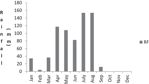 Figure 4. Monthly rainfall distribution during 2017 at Minjar.