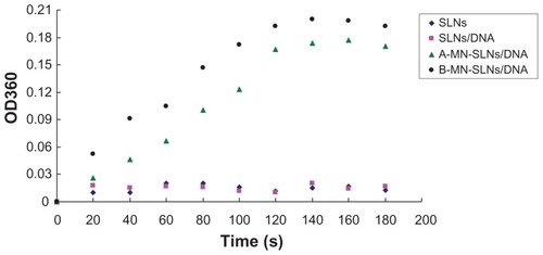 Figure 4 Con A agglutination assay of different vectors.Abbreviations: SLN, solid lipid nanoparticles; A-MN-SLNs/DNA, pre-MN-PEG-PE-modified SLN/DNA; B-MN-SLNs/DNA, post-MN-PEG-PE-modified SLN/DNA; MN, mannan; PEG, polyethylene glycol; PE, L-α-phosphatidylethanolamine.