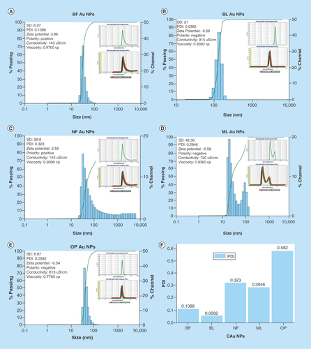 Figure 4.  DLS micrograph of C-Au NPs. DLS images of C-AuNPs from PE (A) and (B) C-AuNPs with extracts BF and BL (C) NF C-AuNPs (D) ML C-AuNPs (E) OP C-AuNPs fruit respectively and (F) depicts PDI values of C-AuNPs.BF: Basil flower; BL: Basil leaf; C-AUNP: Capped gold nanoparticle; DLS: Dynamic light scattering; ML: Mentha leaves; NF: Neem leaves; NP: Nanoparticle; OP: Orange peel; PE: Plant extract.