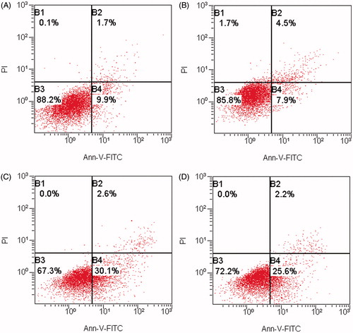 Figure 5. Cell apoptosis was analyzed by flow cytometry. The cells were dual stained with Annexin V-FITC and PI. (A) Cell control; (B) virus control; (C) and (D) cells treated with DG or STS and MDV. Data were presented as dual-parameter FL1of Annexin V-FITC versus FL2 of PI. The upper left quadrant (B1) shows non-normal necrotic cells, PI positive. The upper right quadrant (B2) represents late apoptotic cells, necrotic cells, positive for Annexin V-FITC binding, and PI uptake. The lower left quadrant (B3) contains the viable cells, Annexin V-FITC, and PI negative. The lower right quadrant (B4) indicates early apoptotic cells, Annexin V-FITC positive, and PI negative. The corresponding apoptosis rate was shown in bar chart.