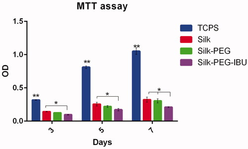 Figure 9. MTT analysis on SF/PEG fibrous membrane.