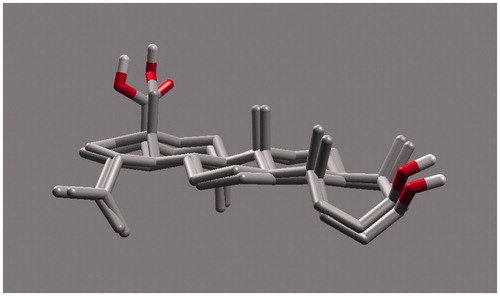 Figure 5. Similar binding modes of betulin and betulic acid. Both poses of the compounds seems to be superimposed on each other. It clearly depicts similar bonding interactions between the enzyme and inhibitors.