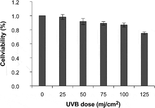 Figure 2. Effect of different UVB irradiation doses on cell survival rate.