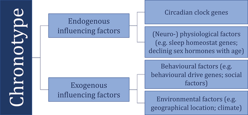 Figure 1. Expanded conceptual framework of factors influencing chronotype based on the preliminary work of Ashbrook et al. (Citation2020).