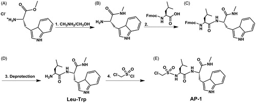 Figure 1. General synthesis scheme for derivatives: (1) A (1.0 eq.), CH3NH2/CH3OH (33% CH3NH2 by wt., 10 eq.); (2) B (1.0 eq.), FMOC-Leu-OH (2.0 eq.), DIC (2.0 eq.), Oxyma Pure (2.0 eq.), N,N-Diisopropylethylamine (2.0 eq.); (3) C (1.0 eq.), 20% piperidine in DMF; (4) D (1.0 eq.), chloromethane sulphonyl chloride (7.0 eq.), N,N-Diisopropylethylamine (7.0 eq.).