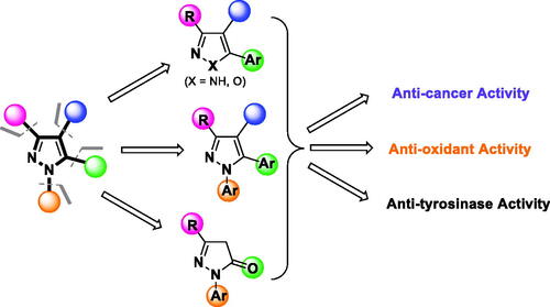 Figure 2. Structural design of biologically relevant substituted azoles and the proposed activity studies.