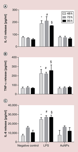 Figure 5. Release of proinflammatory mediators. (A) IL-1β, (B) TNF-α and (C) IL-8 secretion after short-term repeated exposures NH2-(polyvinyl alcohol/PEG) Au nanoparticles. Values were considered significant compared with the negative control when p < 0.05 (* for 48 h, # for 72 h and § for the 96-h time point). Lipopolysaccharide (1 μg/ml) was added to the cultures for 24 h as a positive control for proinflammatory responses.