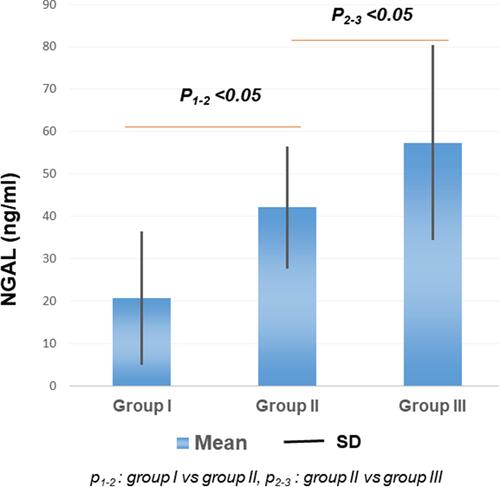 Figure 2 Concentration of urine NGAL.Notes: The concentration of urine NGAL increased from group I to III. The differences between groups were significant. Mann–Whitney test was used to compare two groups and calculate p value.