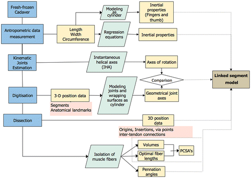 Figure 1. Flow chart of the experimental procedure.