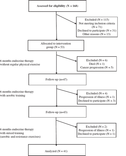 Figure 1. Diagram of patient assessments, participation, and continuance in the study.