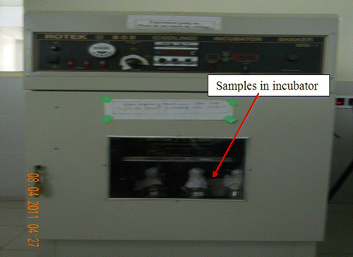 Figure 6 Rotary incubator.