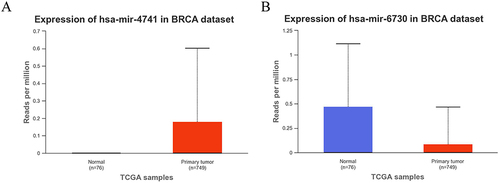 Figure 5 TCGA database analysis. (A) Hsa-miR-4741 is highly expressed in breast cancer; (B) Hsa-miR-6730 is low expressed in breast cancer.