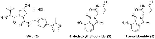 Figure 3. Representative E3 ligase ligands.