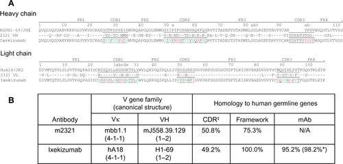 Figure S1 Ixekizumab humanization.Notes: (A) Variable region sequence alignment of selected human germline genes, VH1–69 and VκA18, parental mouse antibody 2321, and ixekizumab. Germline homologous residues of 2321 are indicated by a dash. CDR residues are underlined, and Kabat antibody numbering system used. The CDR residues that differ from VH1–69 or VκA18 germline sequence are shown in green (different from VH1–69 or VκA18 but present in other human germline sequences) and red (not present in any human germline sequences). (B) Calculation of homology to human germline. ‡Excluding HCDR3 and *including CDR residues present at the homologous location in other human germline genes.Abbreviations: CDR, complementarity-determining region; mAb, monoclonal antibody; VH, variable heavy; Vκ, variable kappa; N/A, not applicable.