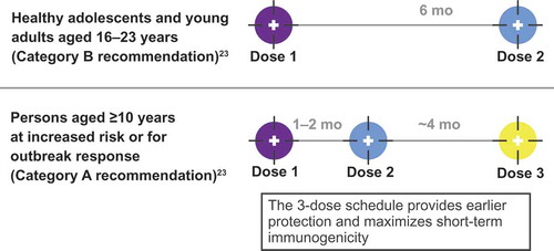 Figure 1. US Advisory Committee on Immunization Practices recommendations for MenB-FHbp 2-dose and 3-dose schedules.Citation23 For the 2-dose schedule: if dose 2 is administered <6 months after dose 1, a third dose should be given ≥4 months after dose 2. For the 3-dose schedule: if dose 2 is administered ≥6 months after dose 1, a third dose does not need to be administered.
