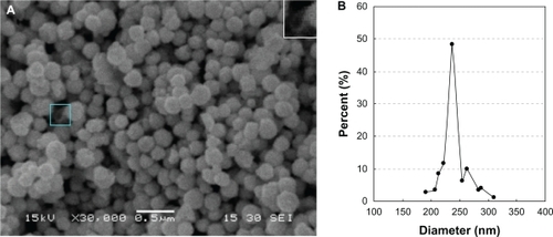 Figure 3 A) Scanning-electron microscopy image and B) size distribution of the liposome/SiO2/Au nanoparticles.