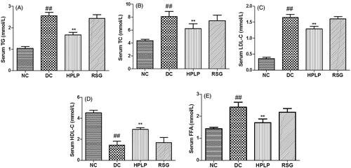 Figure 7. Effect of PLP on serum lipids profiles in db/db mice. The levels of TG (A), TC (B), LDL-C (C), HDL-C (D), and FFA (E) in the serum of mice. Data are shown as the mean ± SD (n = 6). ##p < 0.01, DC group vs. NC group; **p < 0.01, drug-treated group vs. DC group.