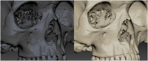 Figure 3. A micro-CT scan of a skull before and after Dynameshing, with the ‘Draw Polyframe’ view switched on.
