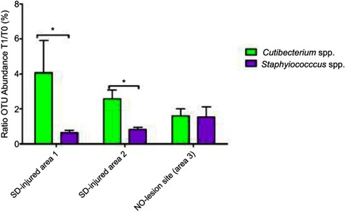 Figure 7 Microbial abundances ratios at different time points. Only for the two major microbial genera found, the OTU abundances detected in the samples collected after 6 weeks of topical application (T1) were compared to those identified at the baseline in order to assess the prevalence of those microbes in the three cutaneous sites investigated. Asterisk indicates a significant statistical difference (*P < 0.05).