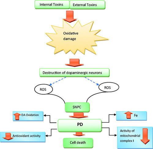 Figure 1. Factors that contribute to oxidative stress and ultimately neuronal cell death in PD.