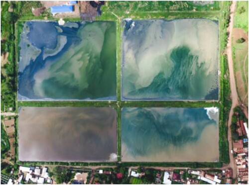 FIGURE 2. Abstract Art (Salt Evaporation Ponds in Arusha, Tanzania). Photo reproduced with permission of Maxsim Tarasov.