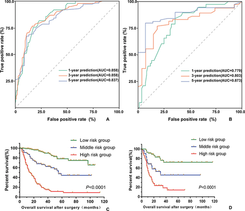 Figure 4 Assessment of nomogram model for predicting overall survival for gallbladder carcinoma after radical resection. (A and B). ROC curves of nomogram model in the training and testing sets. (C and D). Survival curves of patients with different risk stratifications in the training and testing sets.