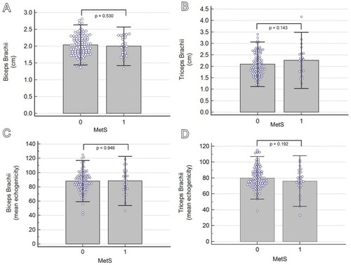 Figure 3 Univariate comparisons of the thickness of the biceps brachii (A) and triceps brachii (B) muscles and mean echogenicity of the biceps brachii (C) and triceps brachii (D) muscles between participants with and without metabolic syndrome (MetS). The columns labelled 0 indicate those without MetS, whereas the column labelled 1 indicate those with MetS.