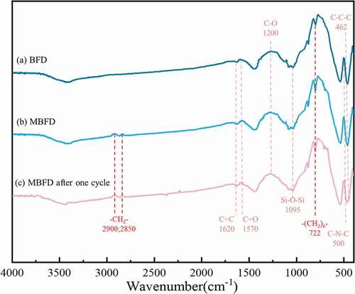 Figure 5. Fourier infrared absorption spectra of the BFD before(a) and after(b) modified; (c) MBFD after one cycle.