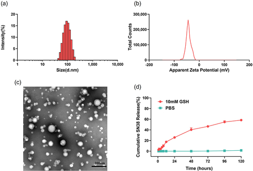 Figure 1 The preparation and characterization of SNSS NAs. (a and b) Particle size and zeta potential of SNSS NAs measured by DLS. (c) The TEM image of SNSS NAs was obtained using the HT7700 microscope (scale bar = 200 nm). (d) Cumulative SN38 release profiles of SNSS NAs in 10 mM PBS (pH 7.4) containing 10 mM GSH determined by HPLC (n=3, mean ± SEM).